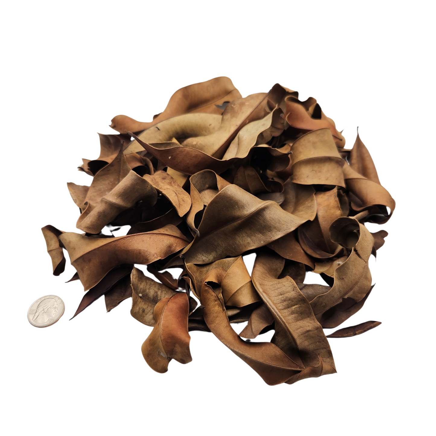 Peruvian Marupa Leaf Litter