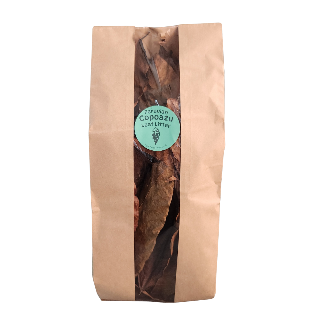 Peruvian Copoazu Leaf Litter