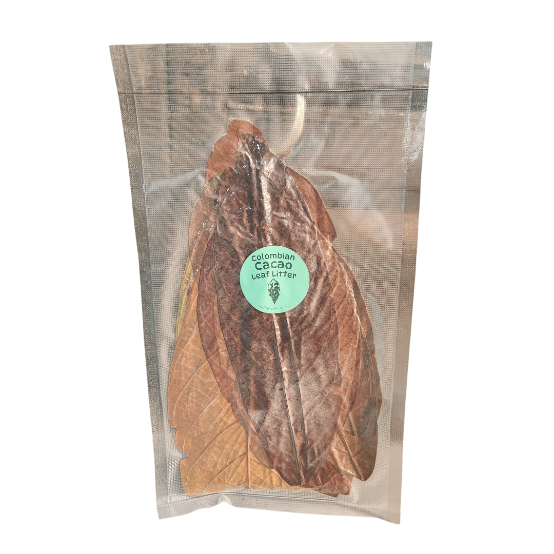 Colombian Cacao Leaf Litter