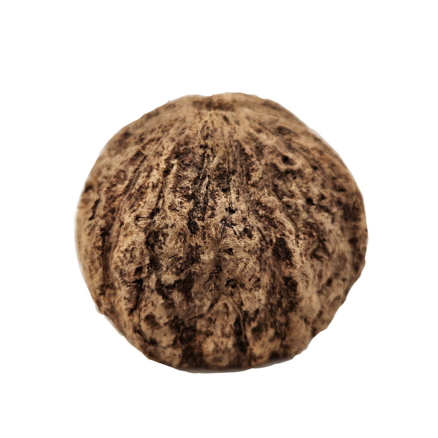 Mayan Pod