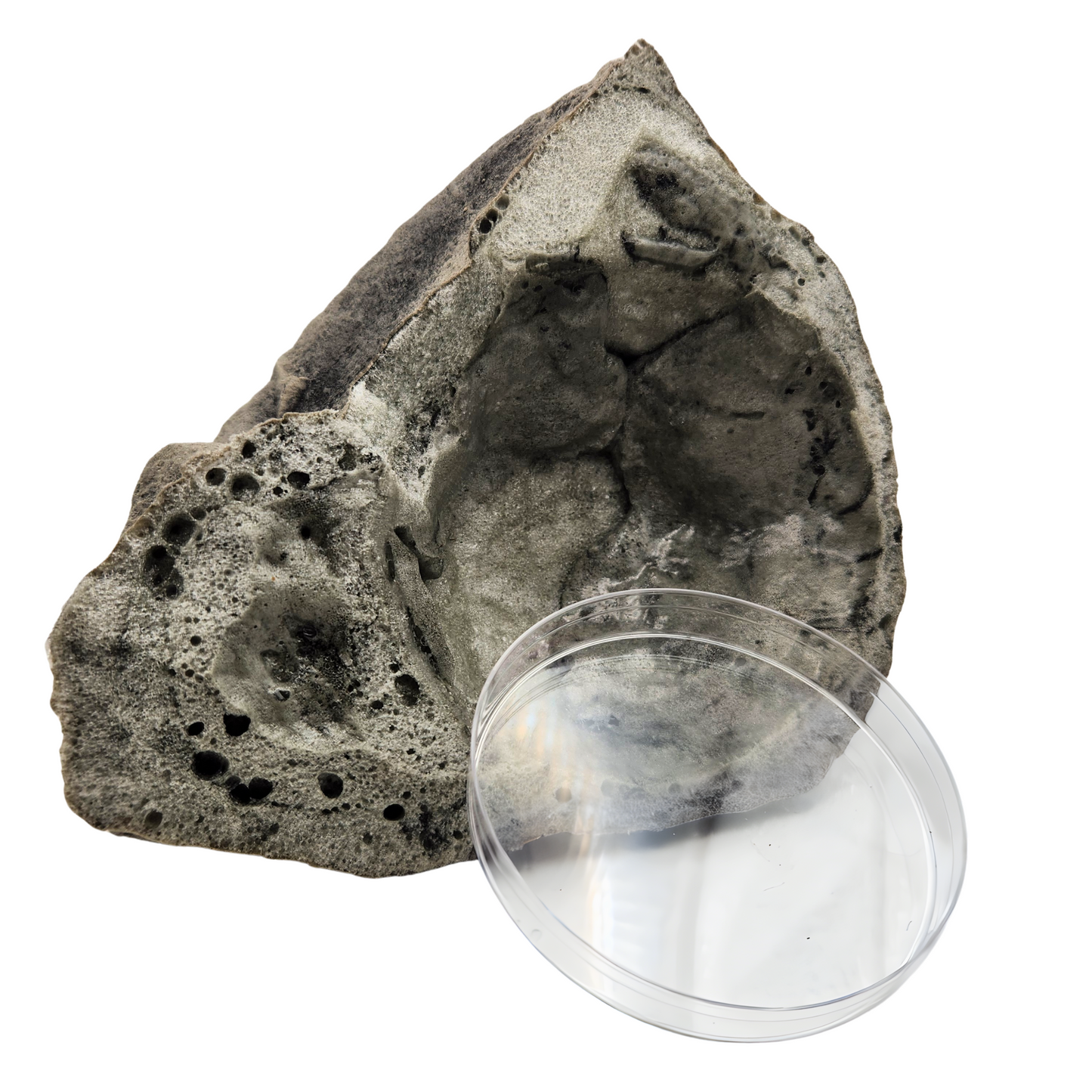 Rock Hut! Faux Rock Coco Hut Replacement! Grey