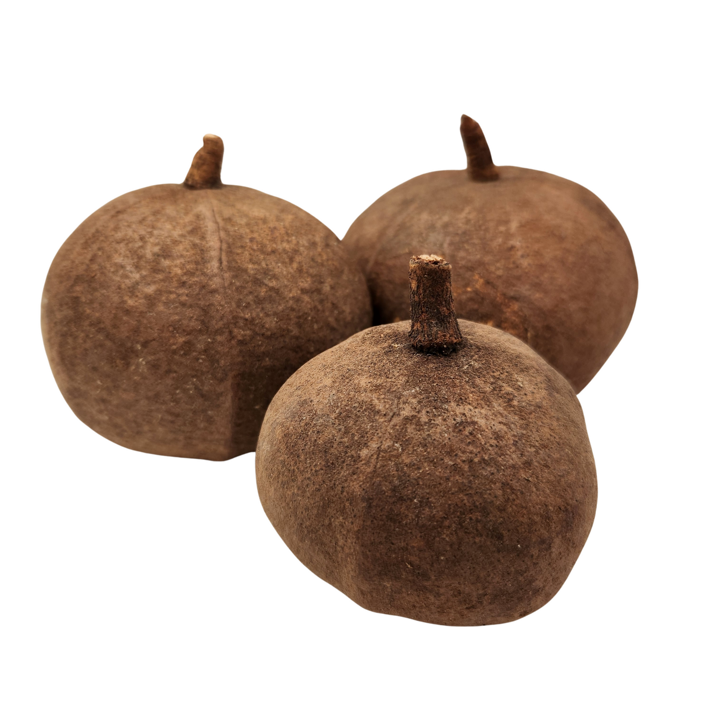 Tingui Pod