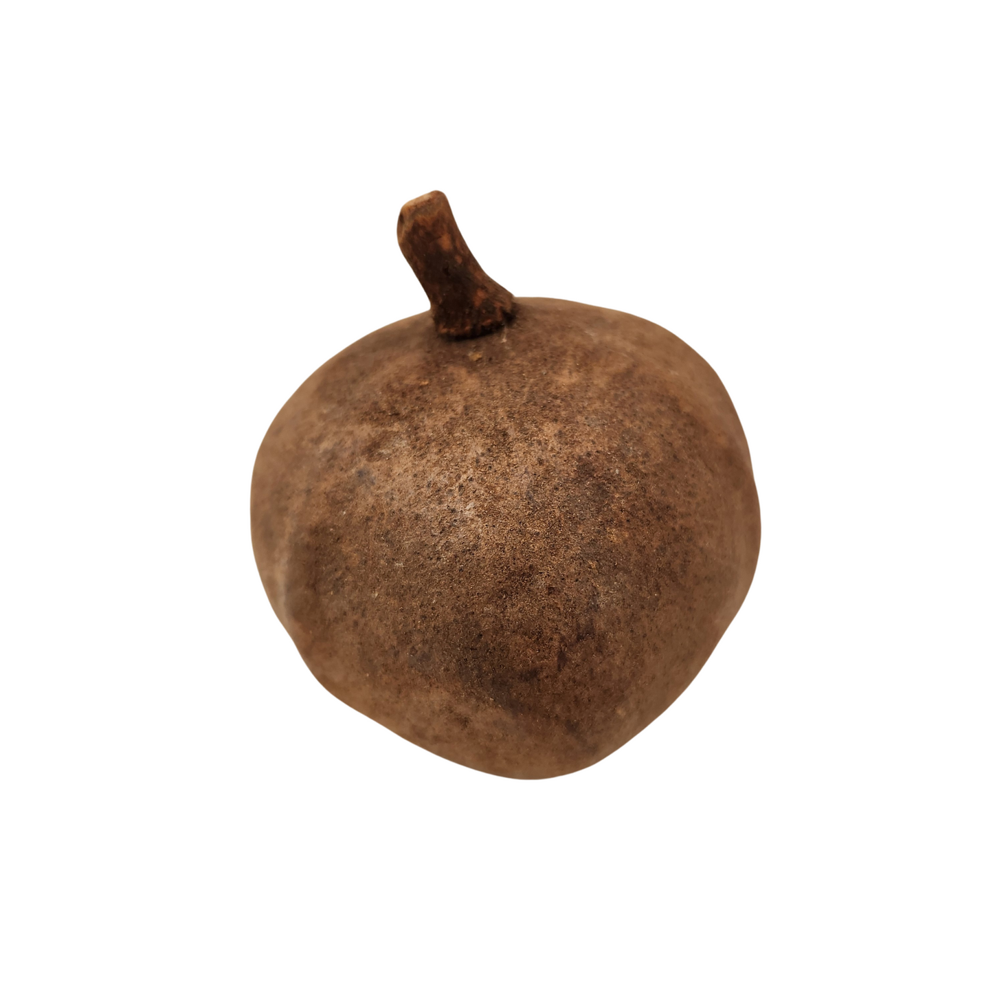 Tingui Pod