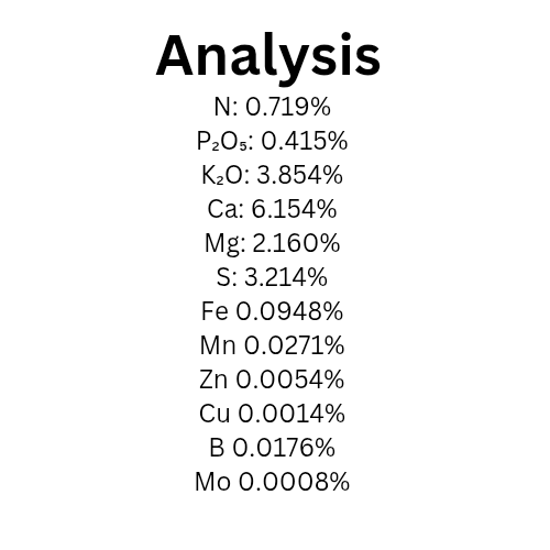Chloro-pHuel Vivarium Safe Fertilizer