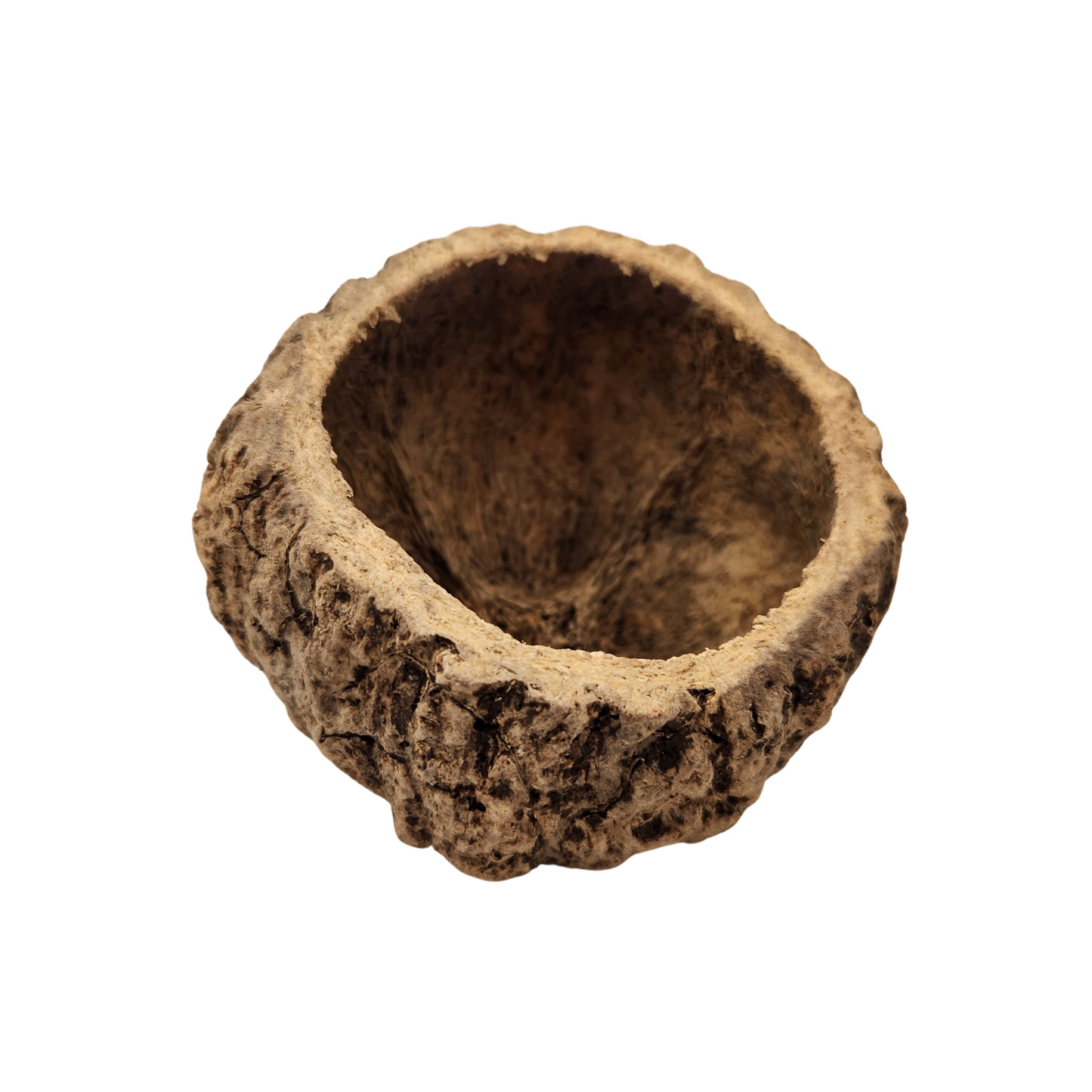 Mayan Pod