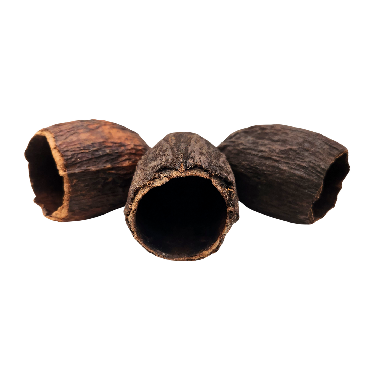 Cacao Pod