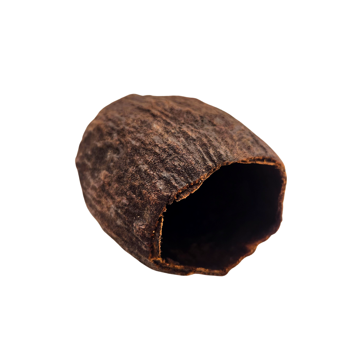 Cacao Pod