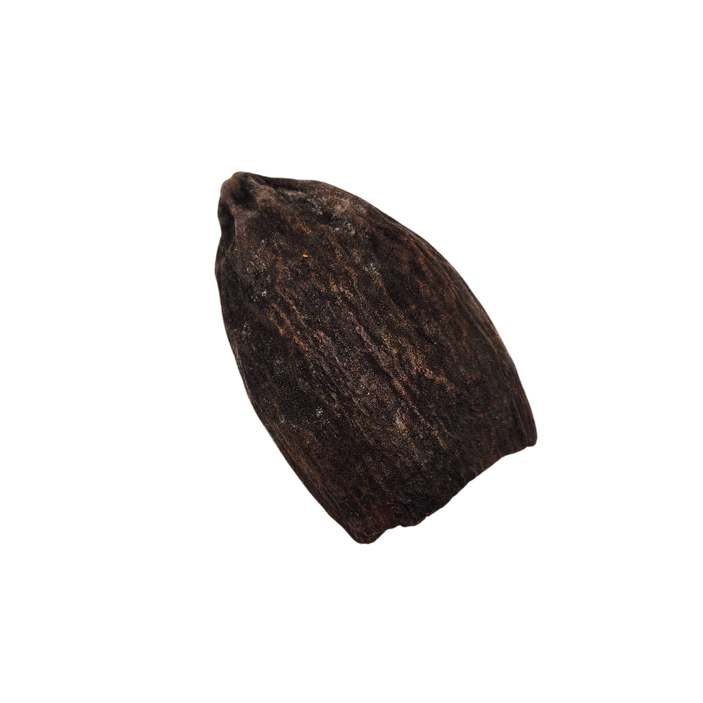 Cacao Pod