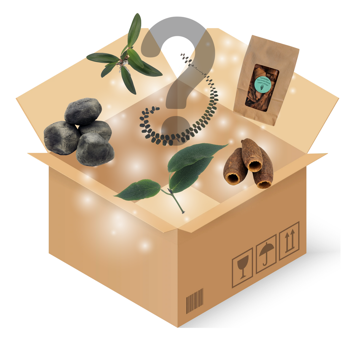 Frogstery Box