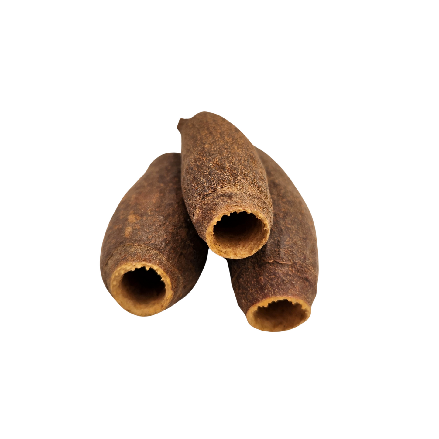 Trumpet Pod