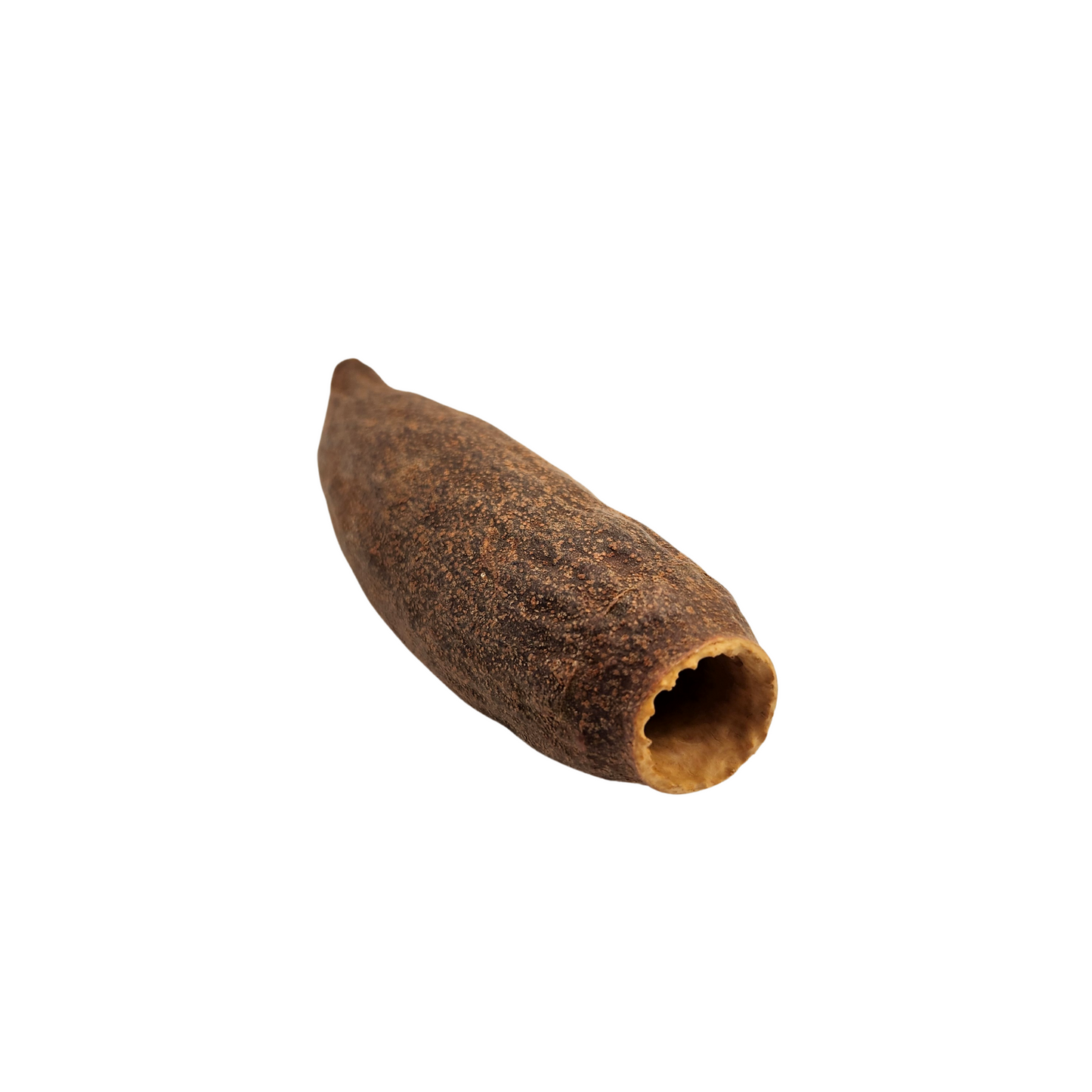 Trumpet Pod