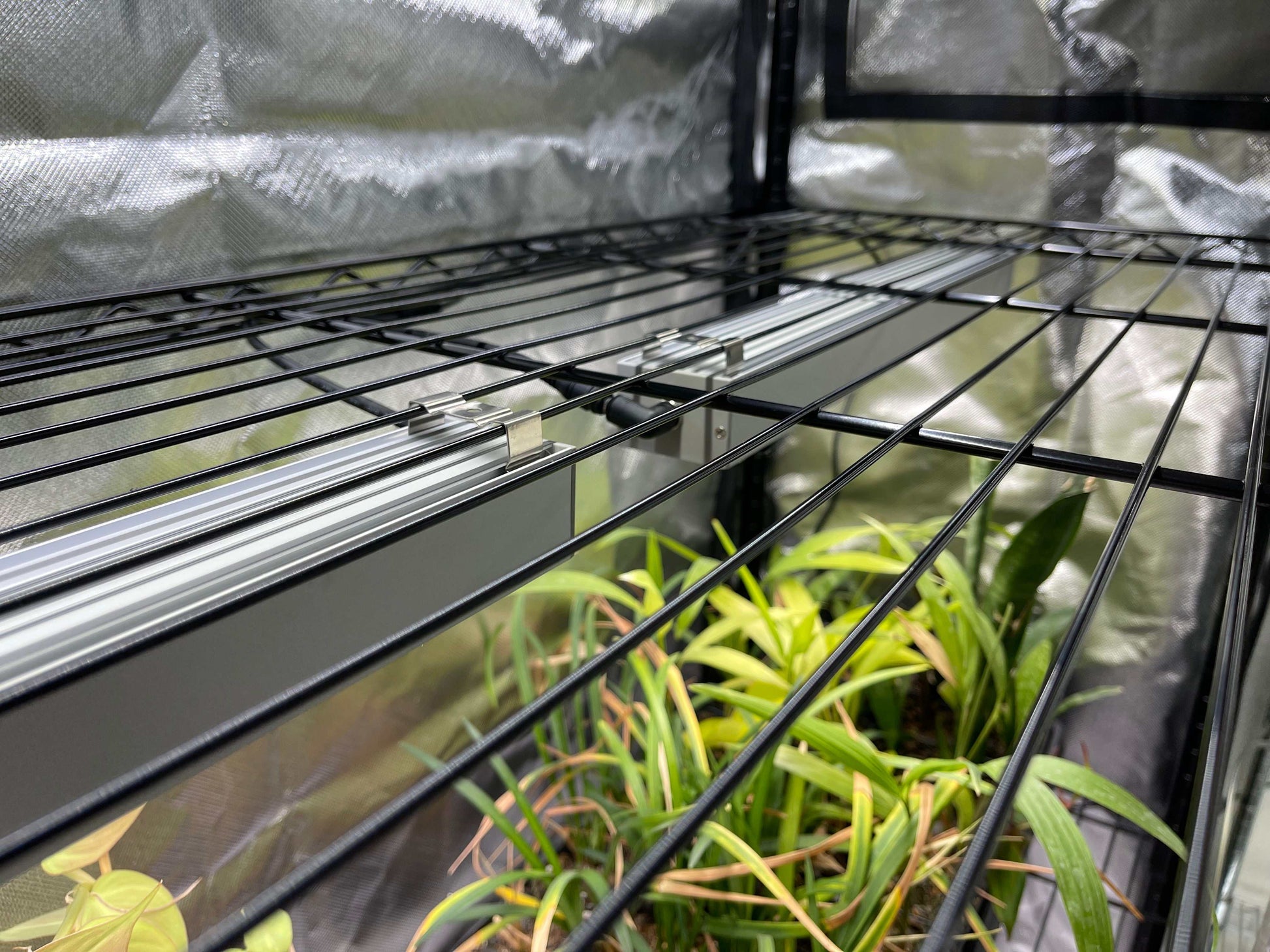 how to hide a grow tent 48x18x72 Baker's Rack Grow Tent Cover – Clear Front Door, Adjustable V – Leaf Tailed Poison