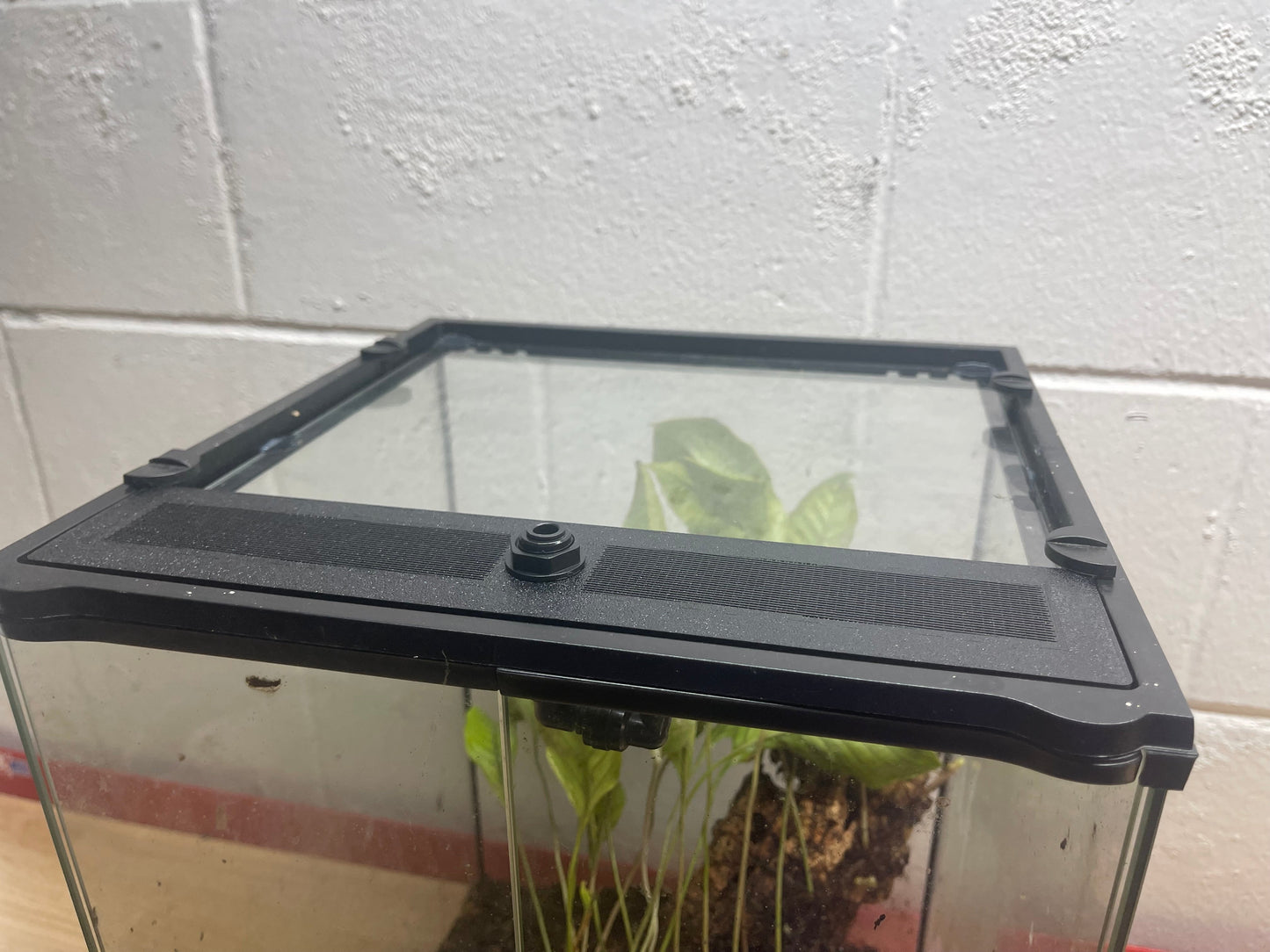 Custom Replacement Top for 36" Exo Terra Terrariums – Humidity Retaining with Fly-Proof Ventilation