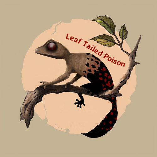Leaf Tailed Poison