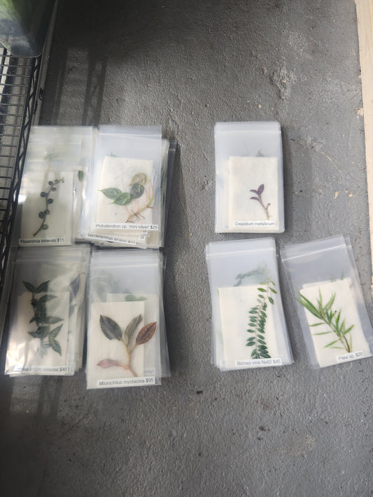 Pick Your Price Plant Packs