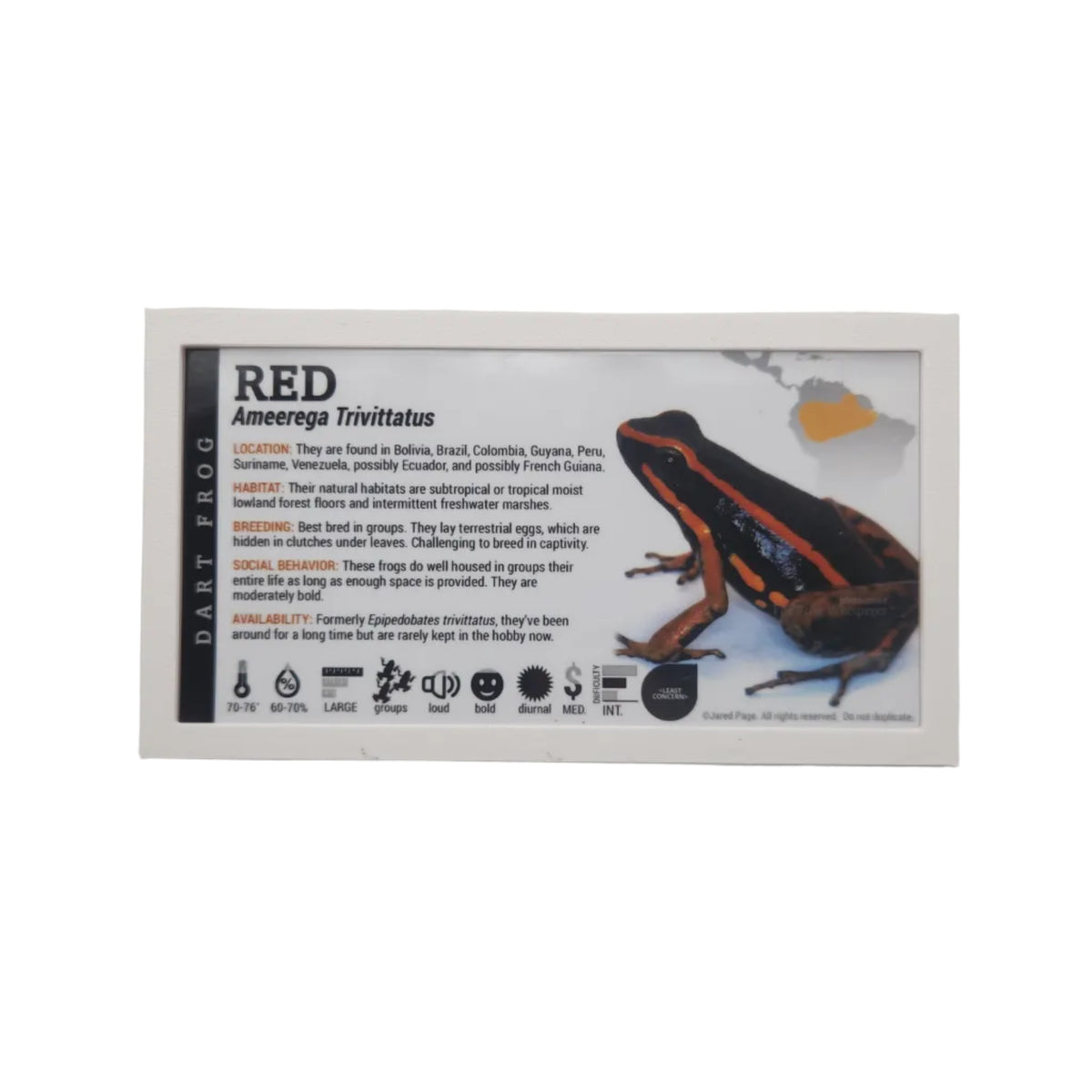 Angled Label Frame -ExoticPetDecor