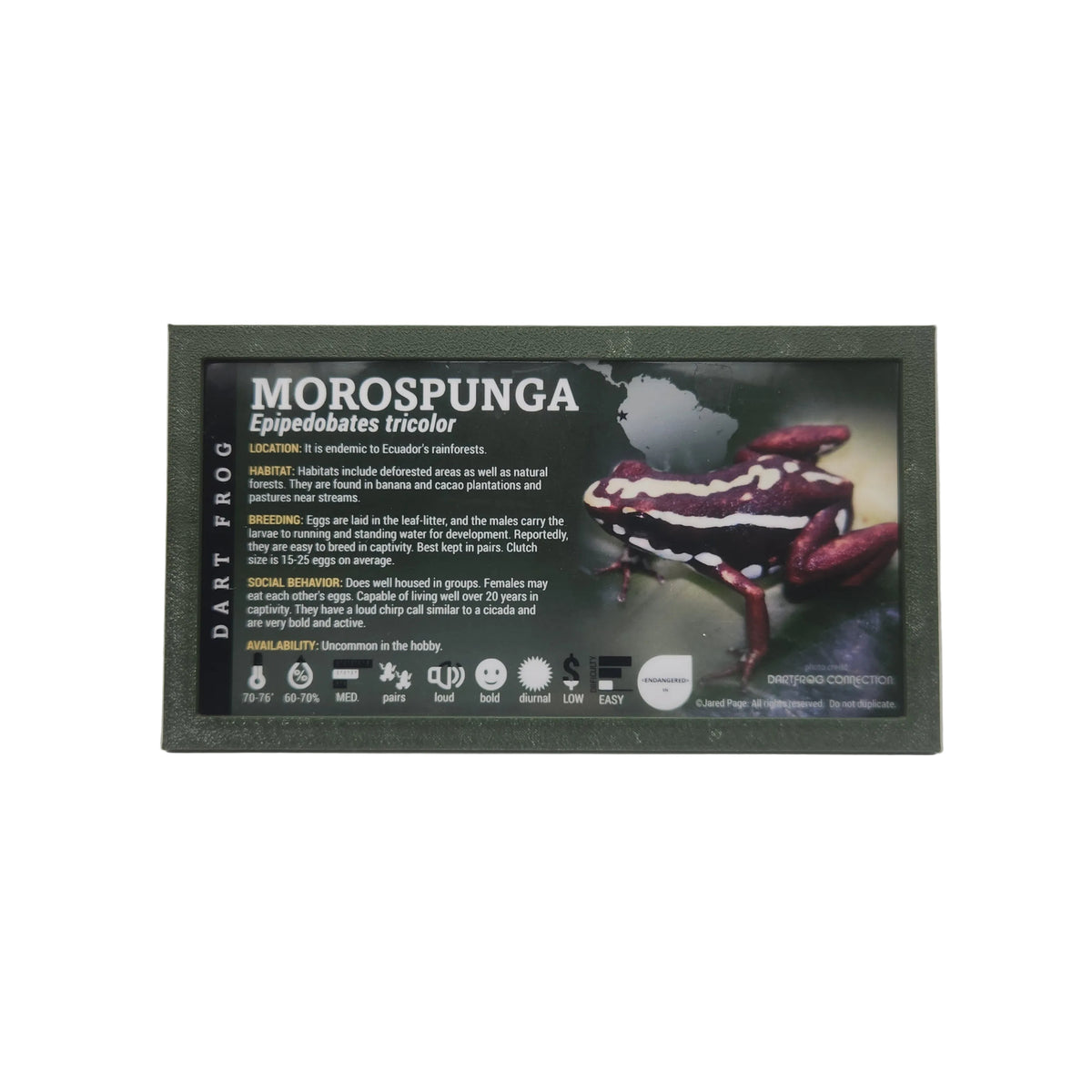Angled Label Frame -ExoticPetDecor