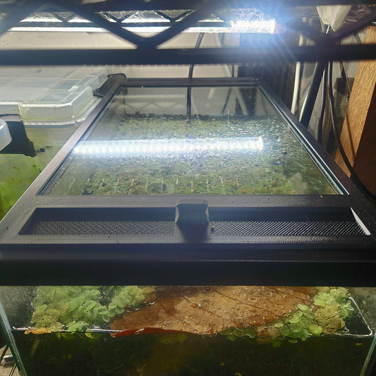 5.5 Gallon Tadpole Top