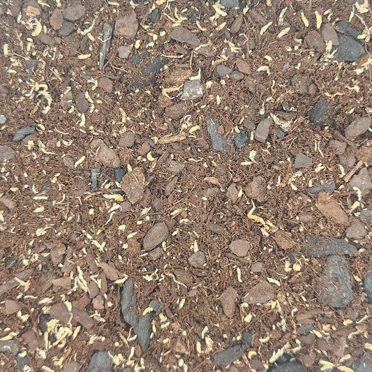 ABG Terrarium Substrate - 1 Gallon
