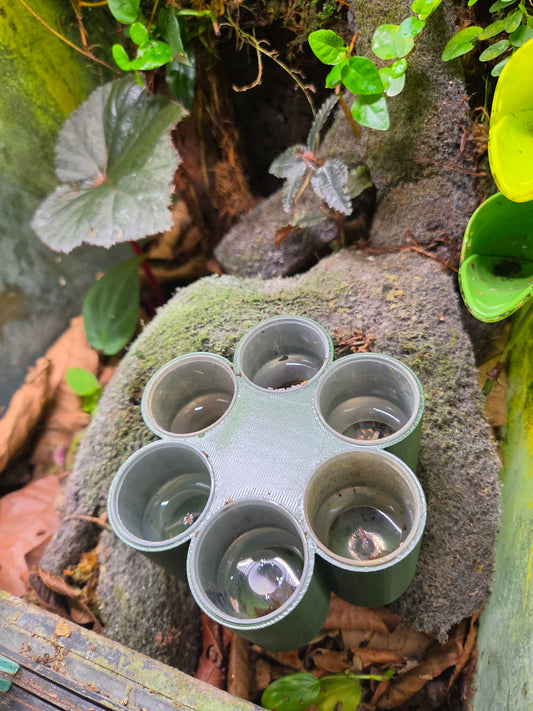 Tadpole Rearing Revolver