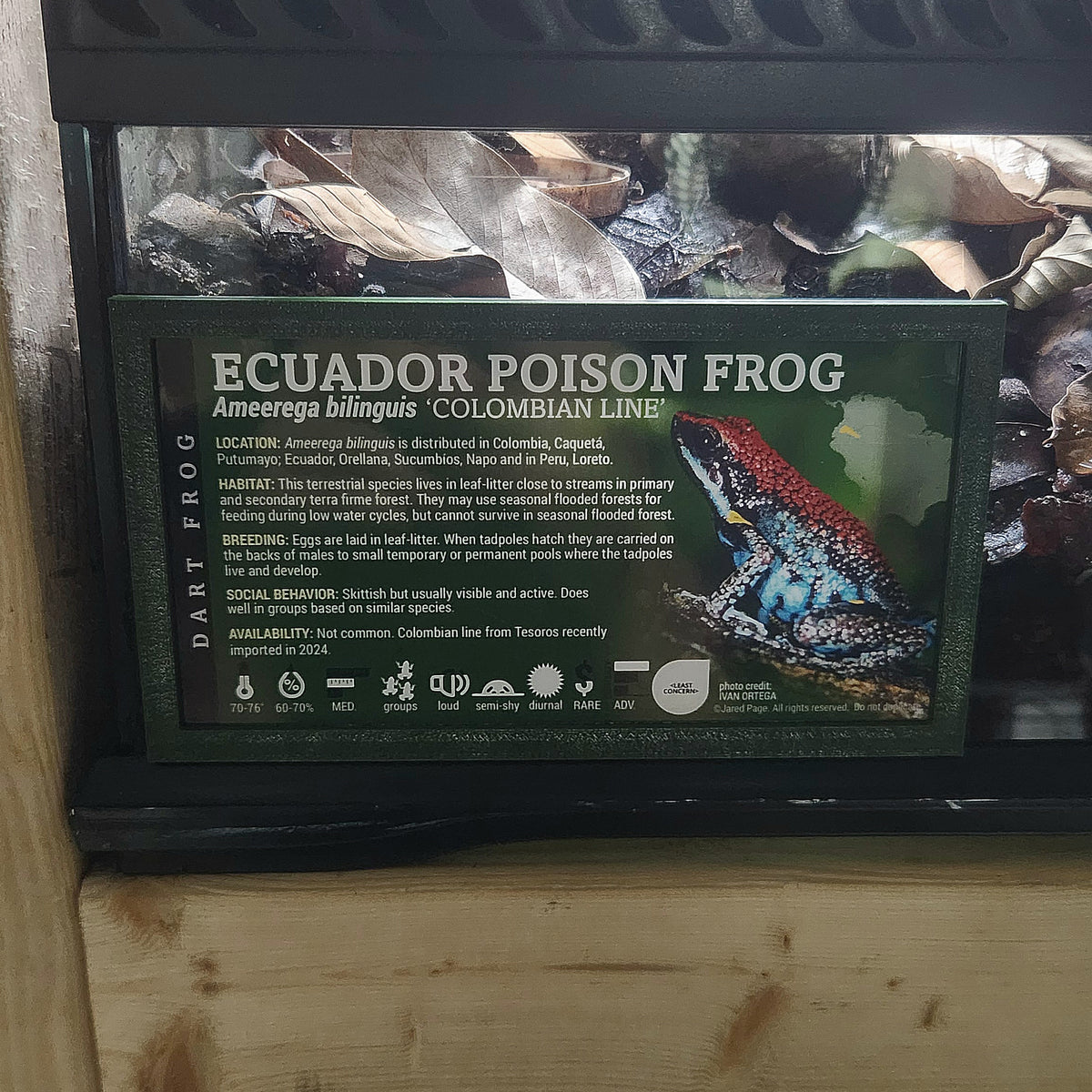 Flat Label Frame -ExoticPetDecor