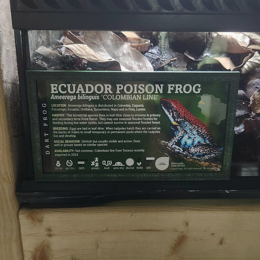 Flat Label Frame -ExoticPetDecor